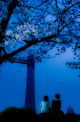 東京スカイツリー ～彼女とボクと、時々、桜～