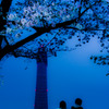 東京スカイツリー ～彼女とボクと、時々、桜～