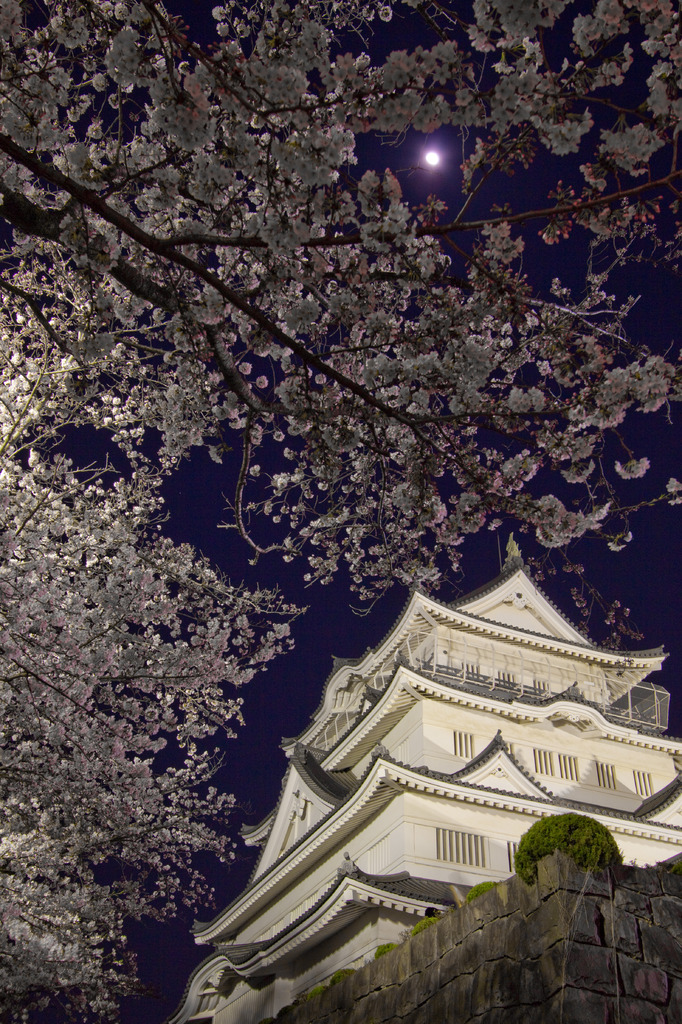 桜月城