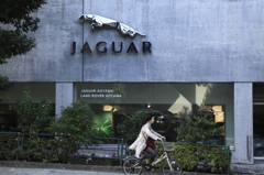 JAGUAR