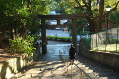 DSC01730