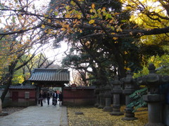 DSC01742