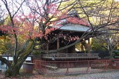 DSC01726