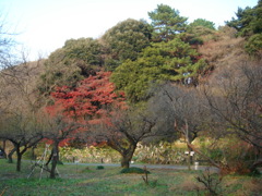 DSC01781