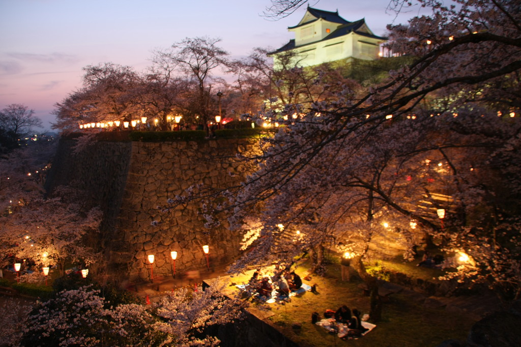 津山鶴山公園