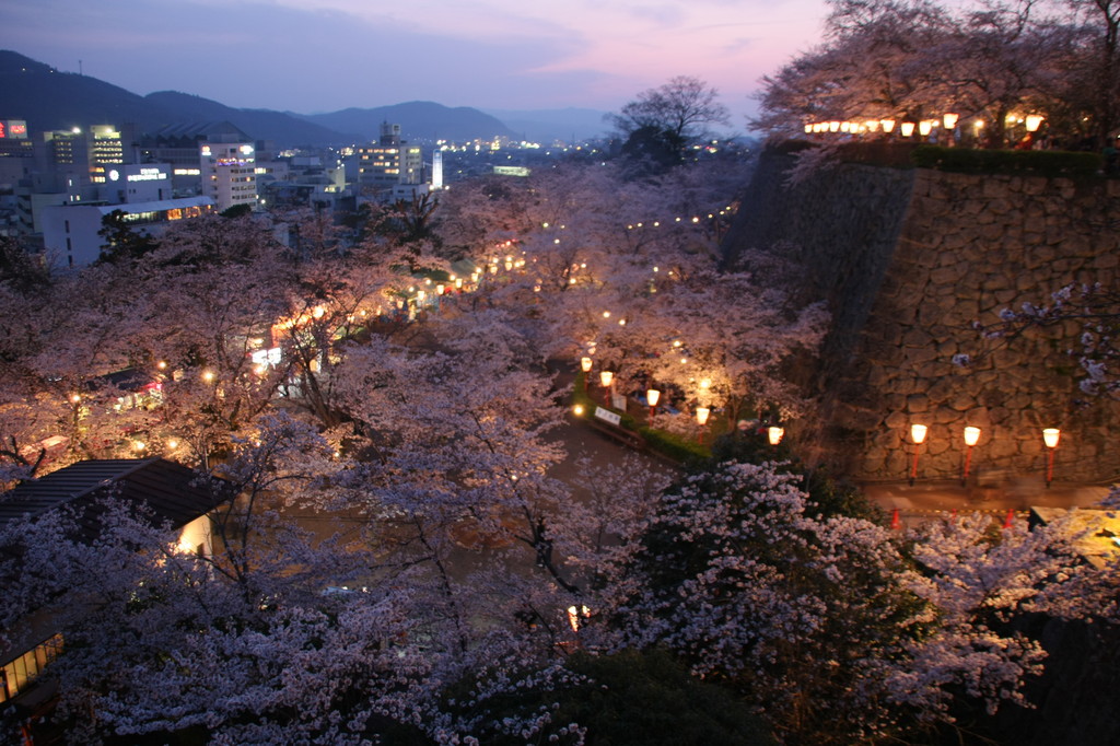 津山鶴山公園