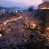 津山鶴山公園