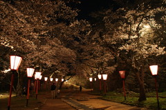 津山鶴山公園