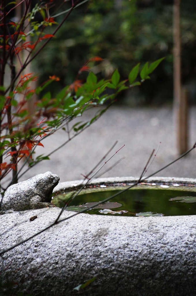 白野江植物公園