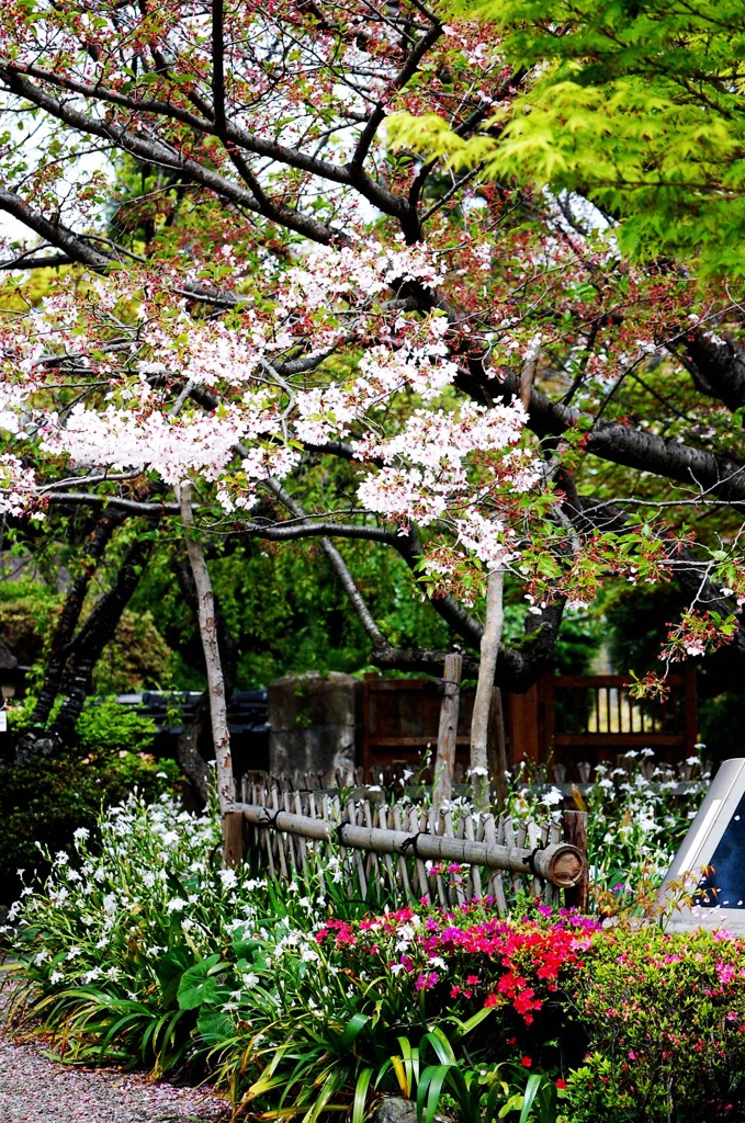 白野江植物公園