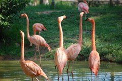 到津の森公園