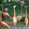 到津の森公園