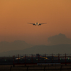 Runway Of The Morning Glow