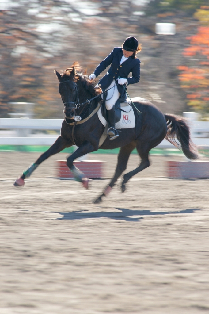 16DSC08019a