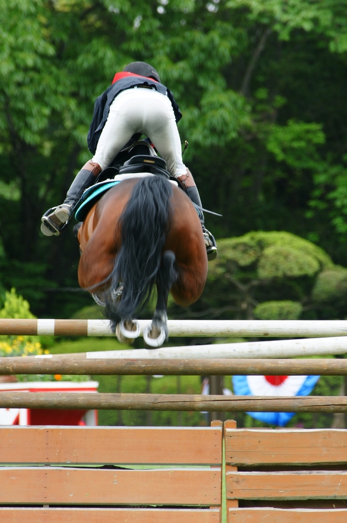 06DSC00401