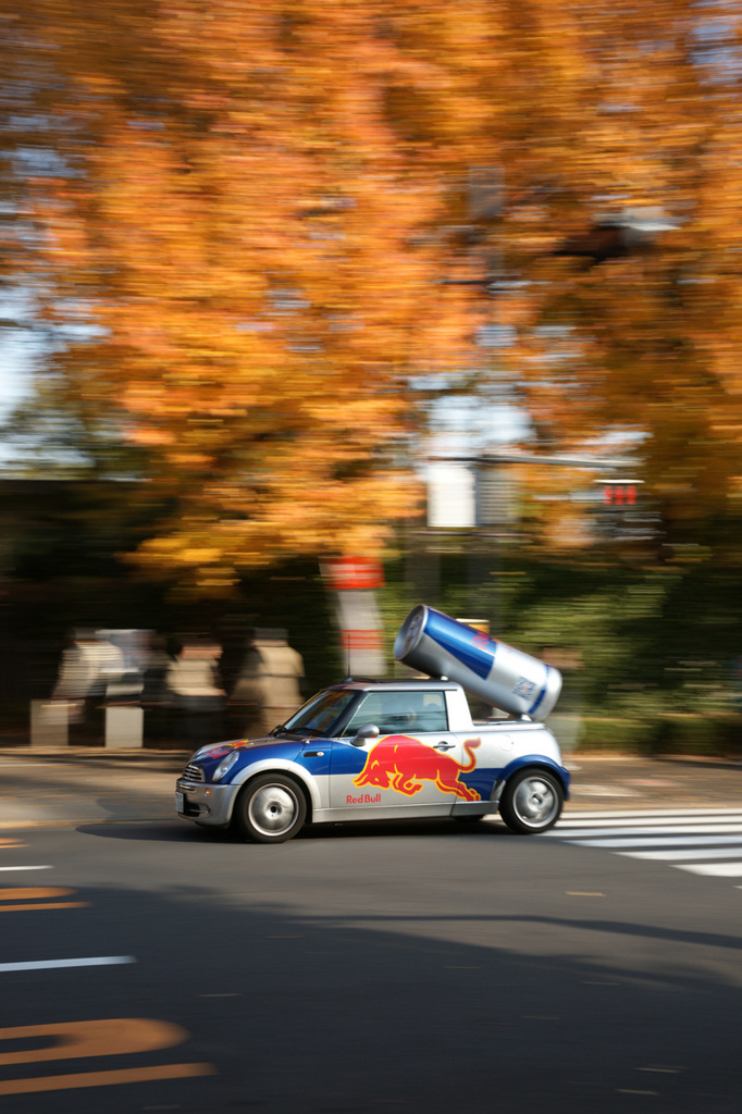 紅葉とレッドブル号