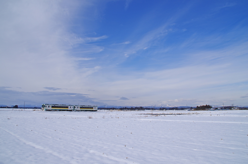 雪原を往く