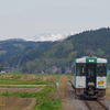 新緑の向こうに