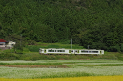 蕎麦を見る