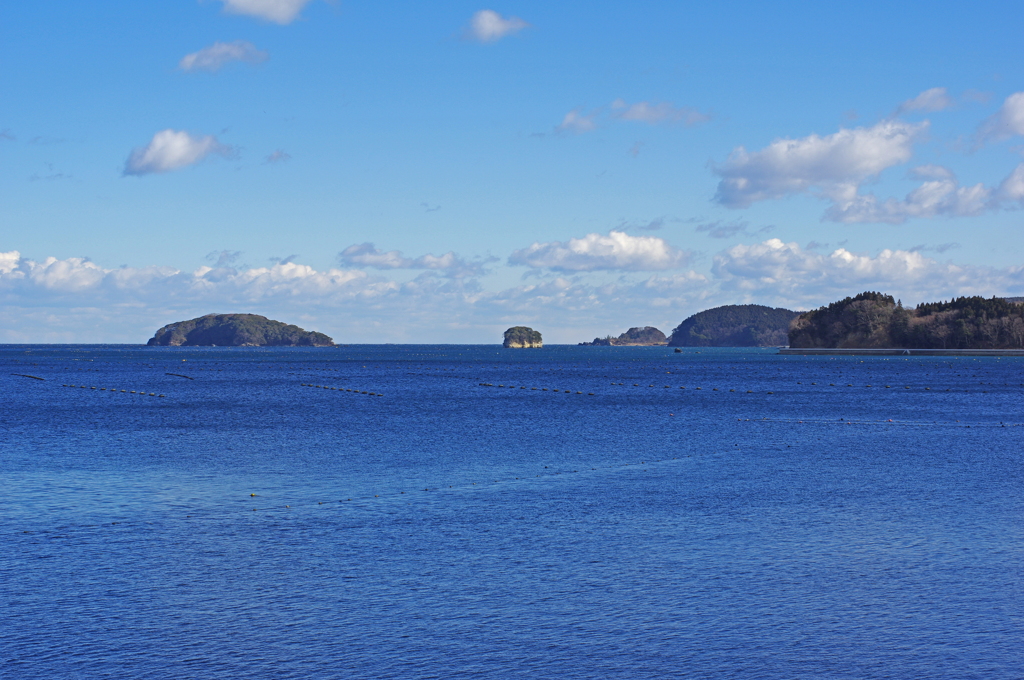 志津川湾