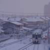 雪の朝