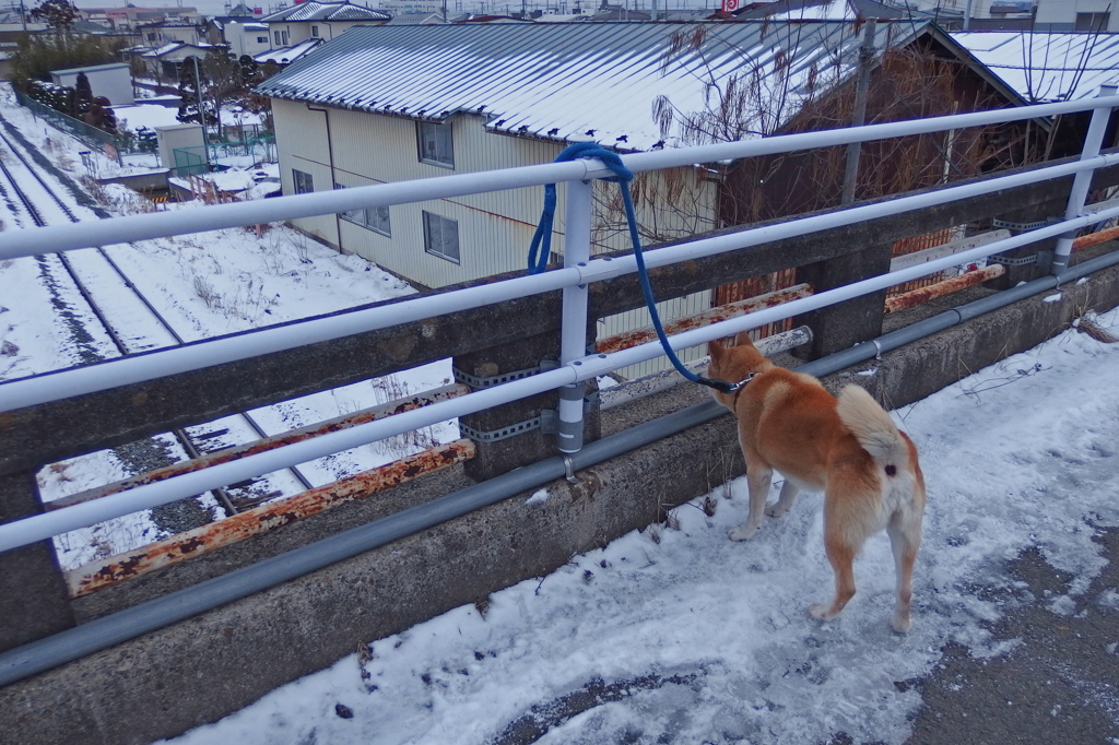 未だかな？