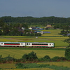 現れた下り列車