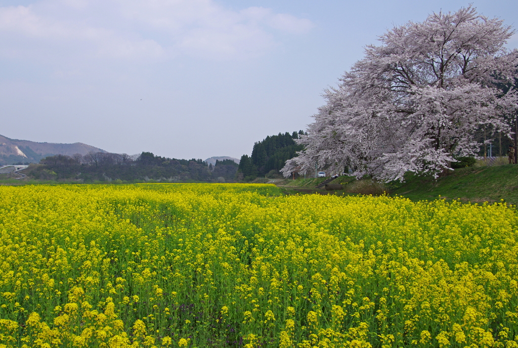 河川敷公園