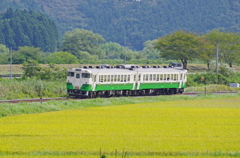 花勝山のｶｰﾌﾞを行くｷﾊ48形