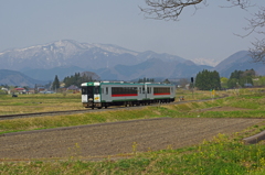 春の花渕山