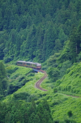 深緑の山間