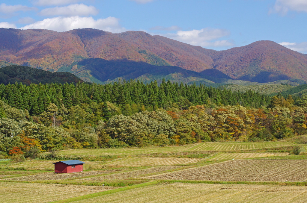山間の田圃