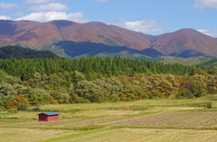 山間の田圃