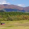 山間の田圃
