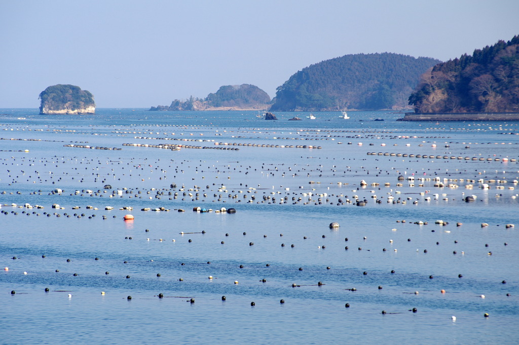 海に浮かぶピンポン