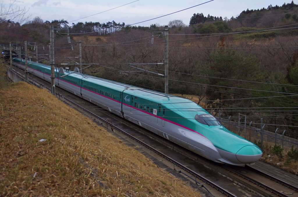はやぶさ・こまち号