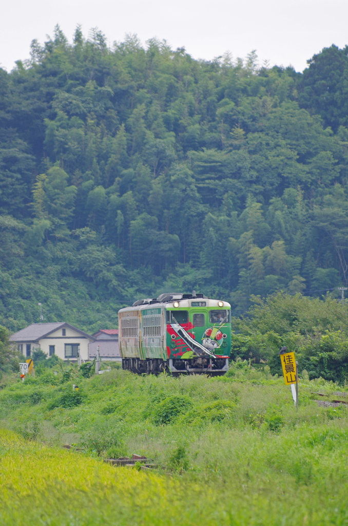 佳景山を背に