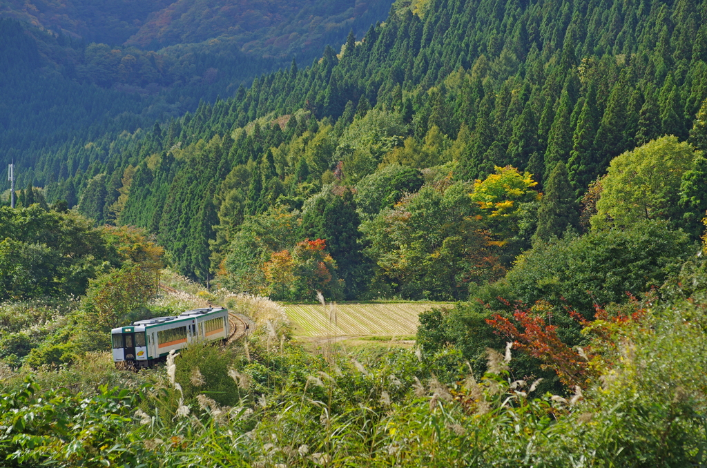 秋の峠道