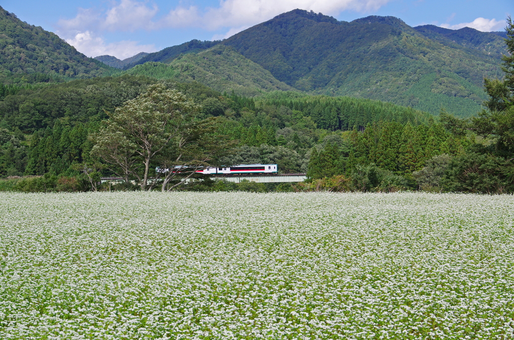 高橋川渡橋