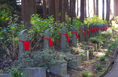 杉薬師三十三観音