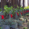 杉薬師三十三観音