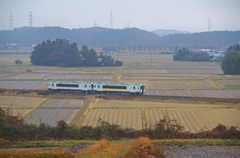 冬枯れの田圃道