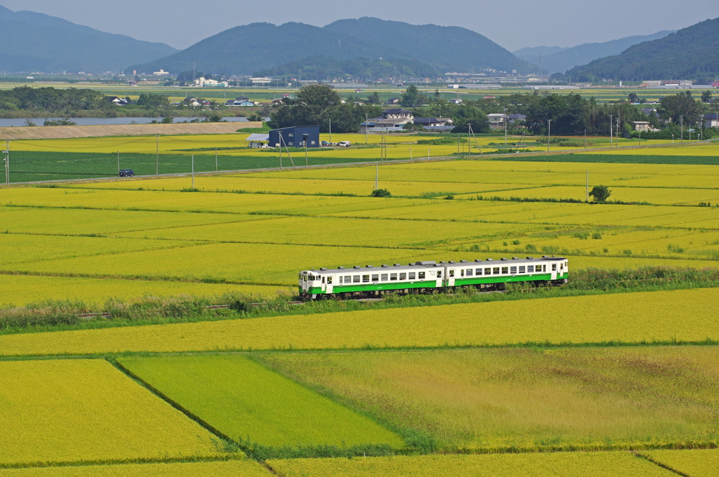日差しを受けて