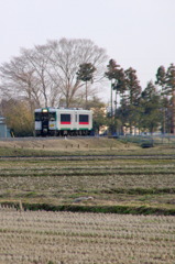 早春の香り