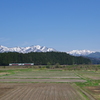 春の最上路を往く