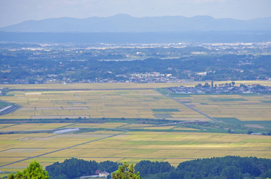 実りの大地