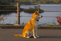 何を見つめる