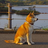 何を見つめる