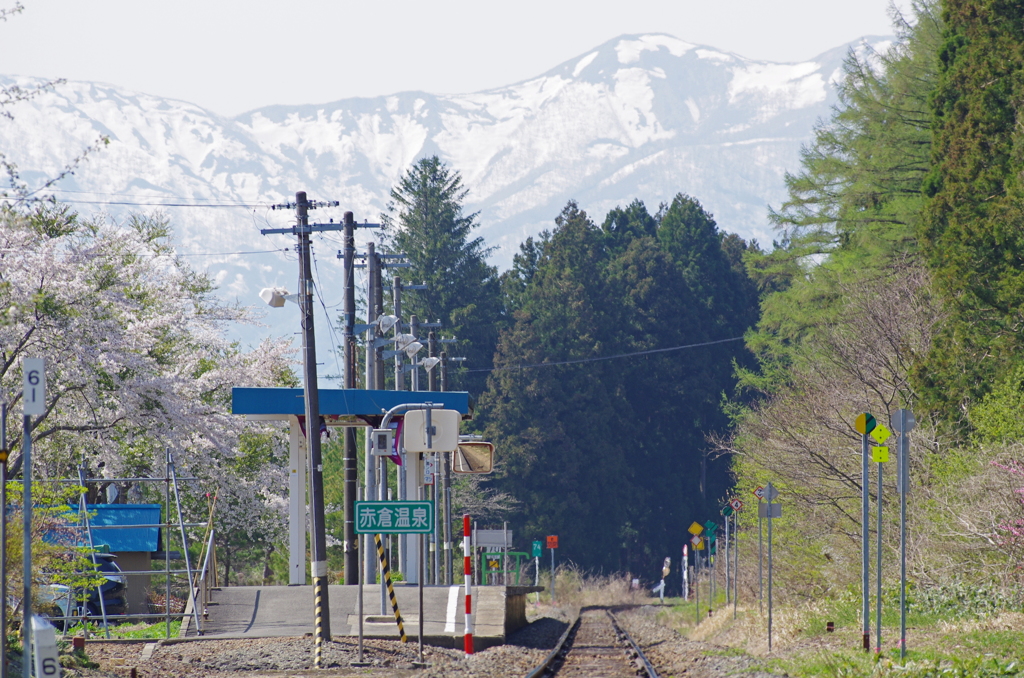 赤倉温泉の春