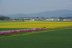 コンテナ列車